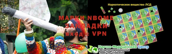 PSILOCYBIN Покачи