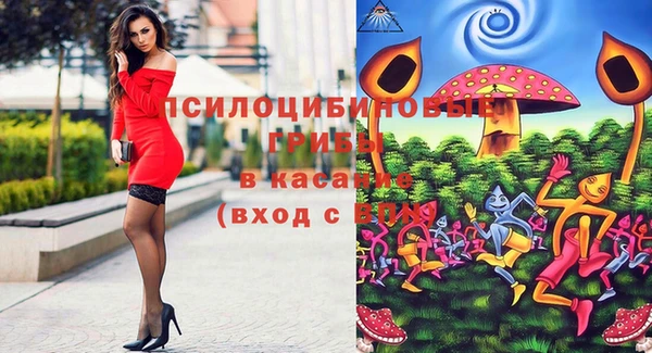 гидропоника Алексеевка