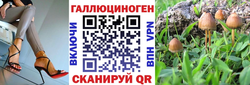 купить наркотики сайты  Бабаево  Псилоцибиновые грибы прущие грибы 